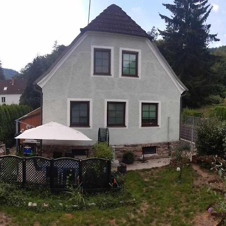 Apartamento Zu Hause Am Bach Aggsbach Exterior foto