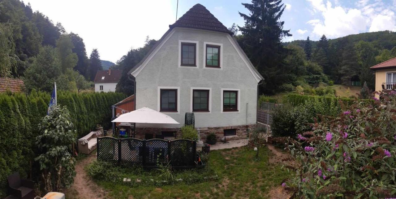 Apartamento Zu Hause Am Bach Aggsbach Exterior foto